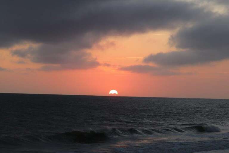 IMG_0222 O Prelim 10.4.23