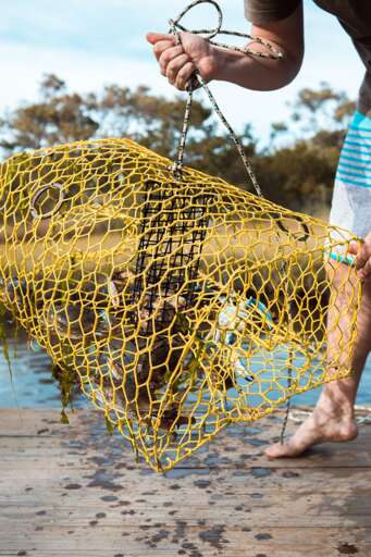 302 37th Place East 54