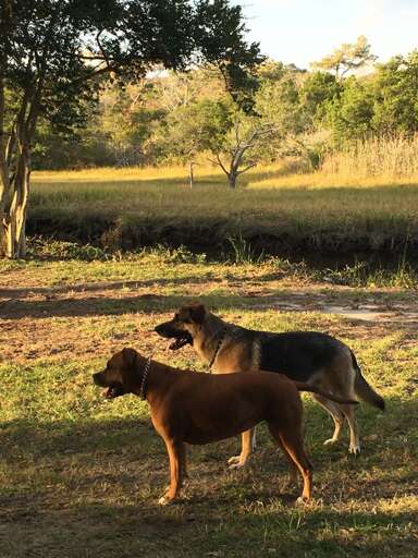 302 37th Place East 53