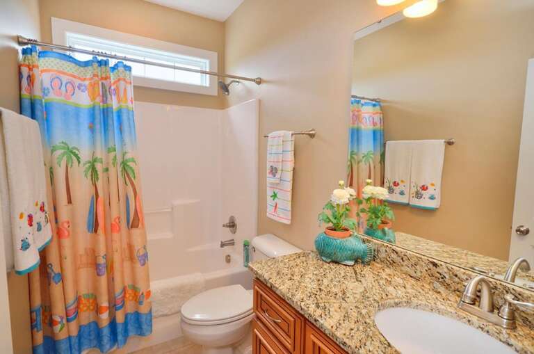 Full bathroom shower/tub