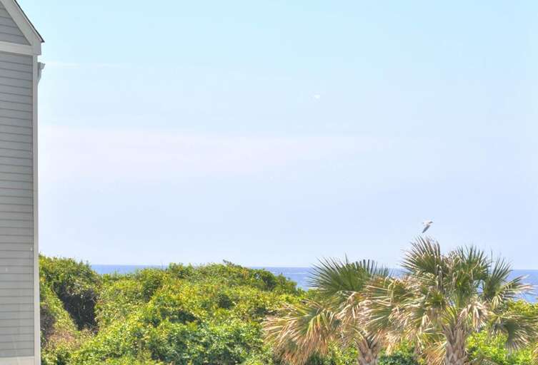 Ocean Views