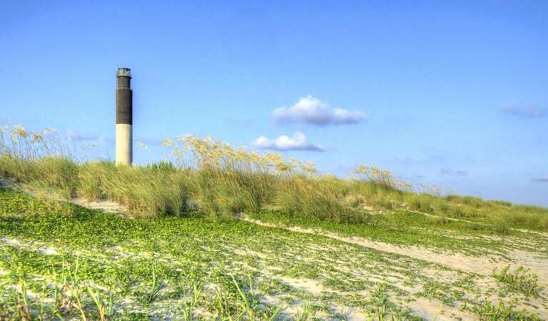 2 Looney Dunes 35 GW 11.2022