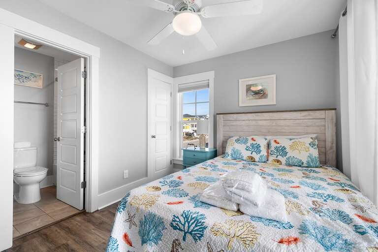 Just Add Water 48 CS 3.8.24