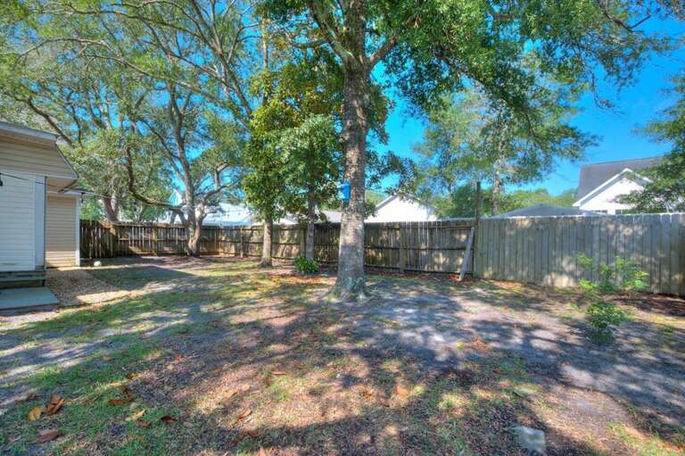 Back Yard
GW 6.30.23