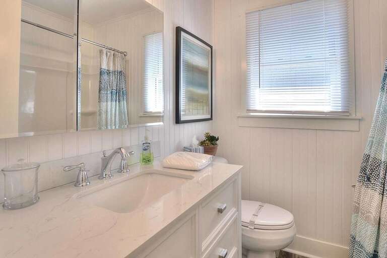 Tipsy Turtle 18 GW 6.2022