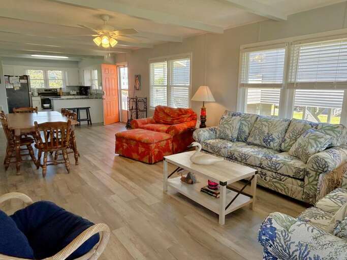 Dolphin Delight 6 - 7.12.25 JR 