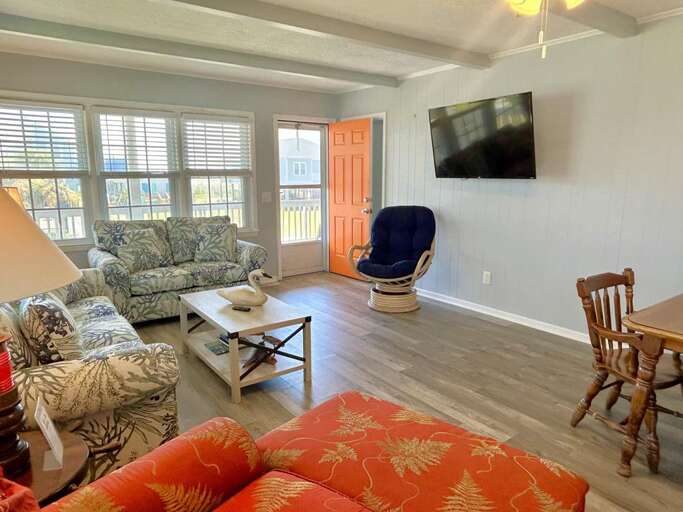 Dolphin Delight - 7.12.25 JR 