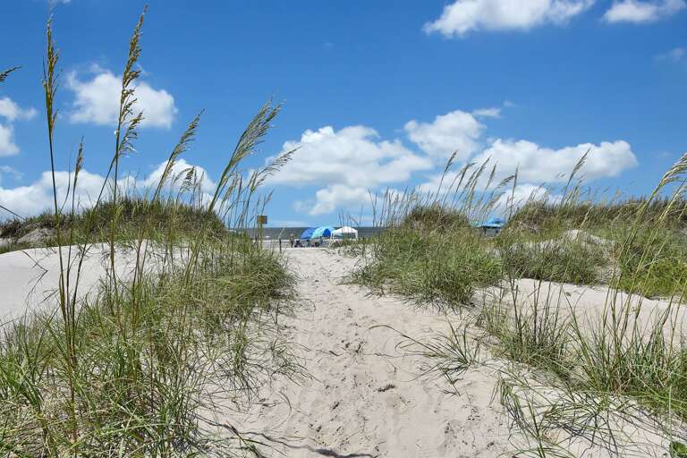Beach Access