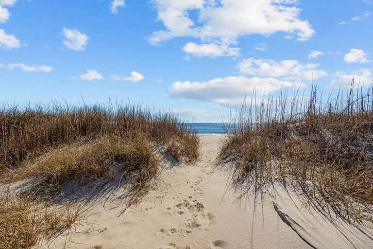 The Sandcastle 25 O Prof 3.10.25