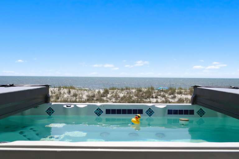 Swim Spa
