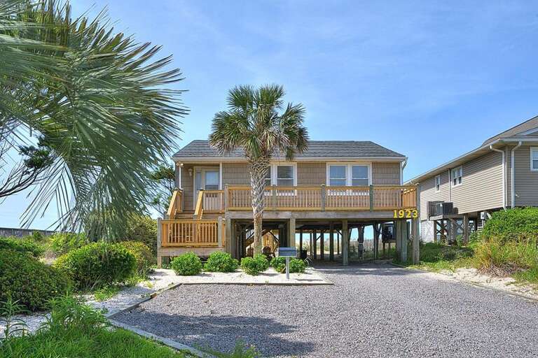 A Painted Palm Tree 1 GW 6.2022