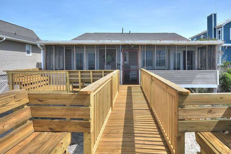 A Painted Palm Tree 40 GW 6.2022