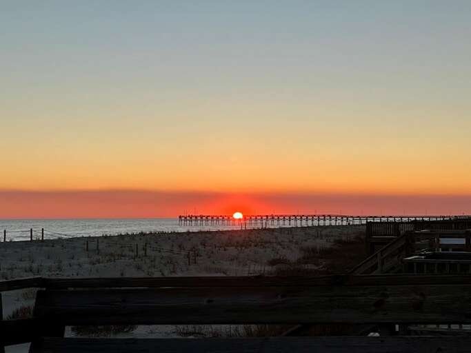 A Painted Palm Tree 45 O Prelim Sunset