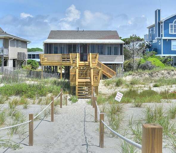 A Painted Palm Tree 2 GW 6.2022