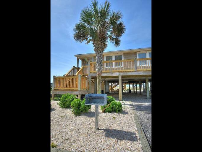 A Painted Palm Tree 39 GW 6.2022