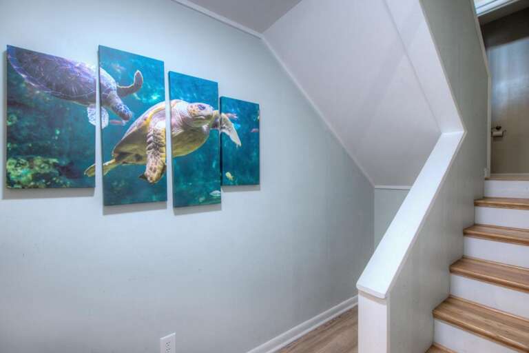 Barefootin Bs.12.GW.5-3-25