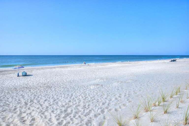 Codfather Ext Reshoot 16 GW 8.7.23