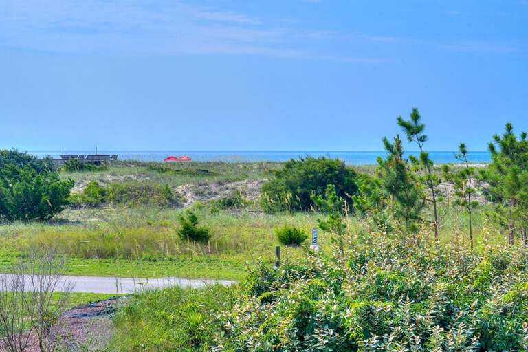 Carolina Sunshine 3 GW 7.19.23