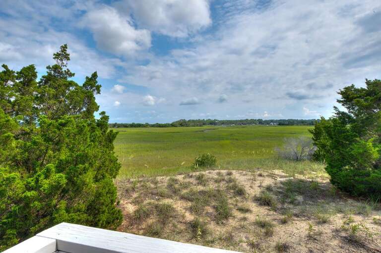 Carolina Sunshine 41 GW 7.19.23