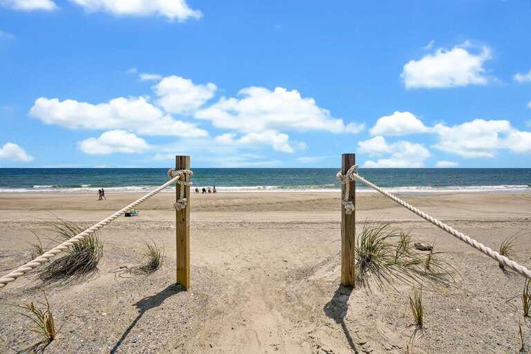 BonBini 50 CG 5.19.23