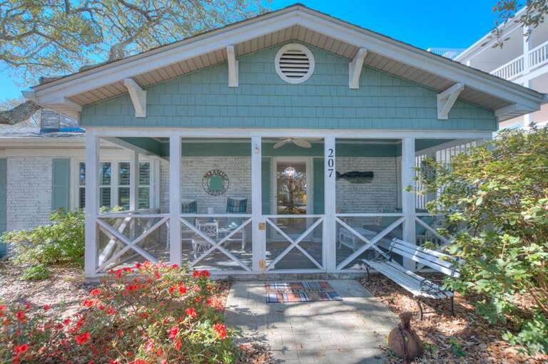 Hidden Treasure Up Close 