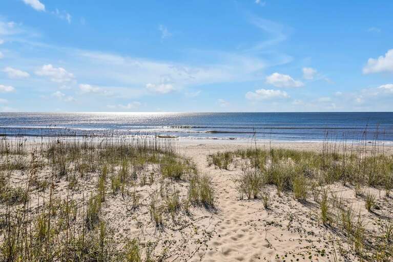 Our American Dream 50 CG 11.15.24