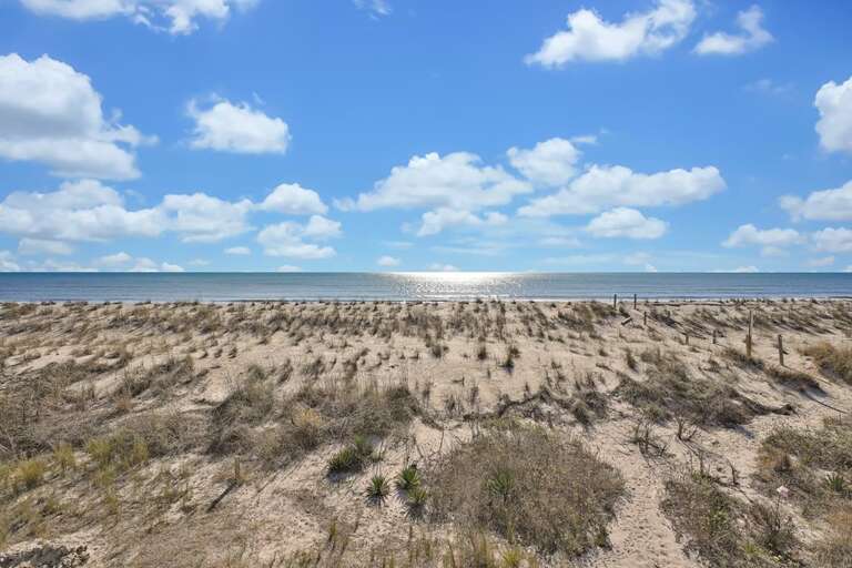 Fitz Us Too 20 CG 1.2023