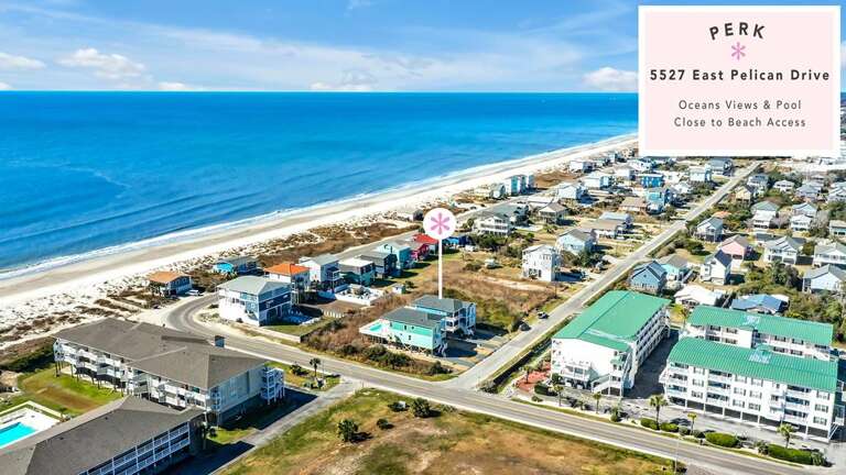 7 Blue Pelicans 2 Sky View Perk CG 2.23.24