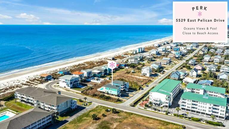 7 Green Pelicans 2 Sky View Perk CG 2.23.24