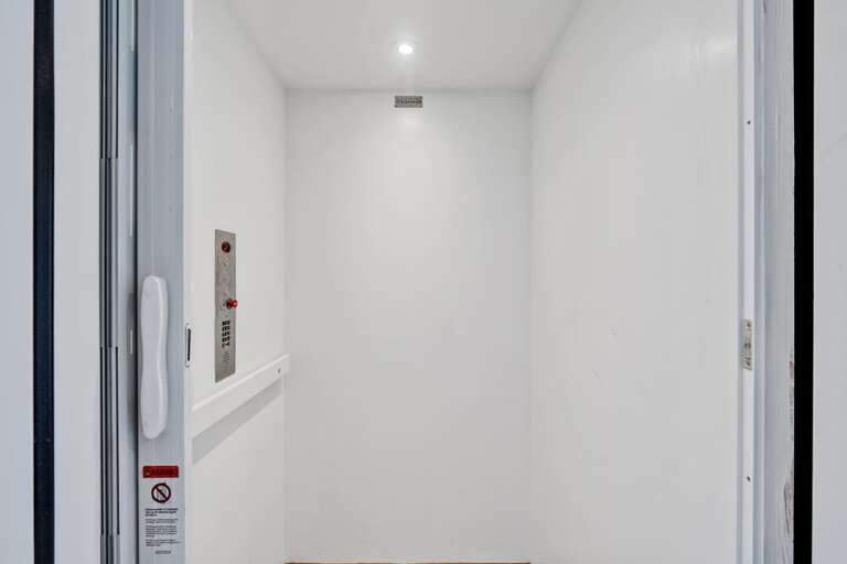 7 Green Pelicans 33 CG 2.23.24