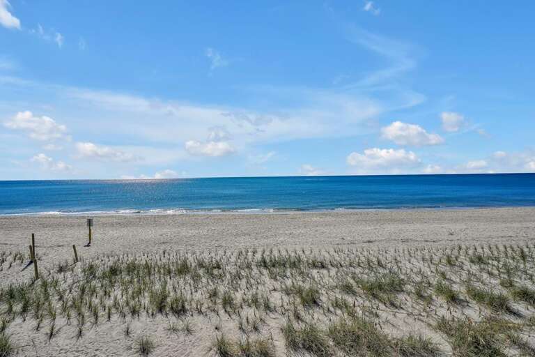 La Vita Bella 19 CG 10.20.23