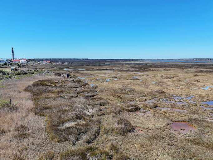 Aerial Views