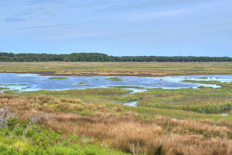 Marsh View
GW 5.22.24