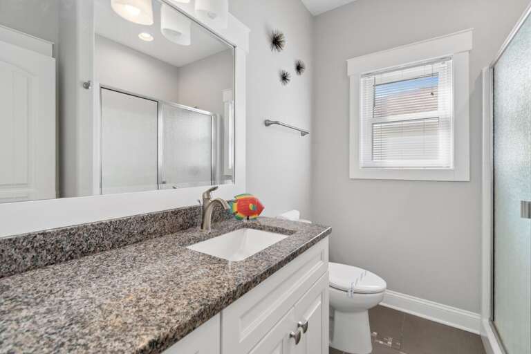 Nest Egg 39 CS 3.16.24