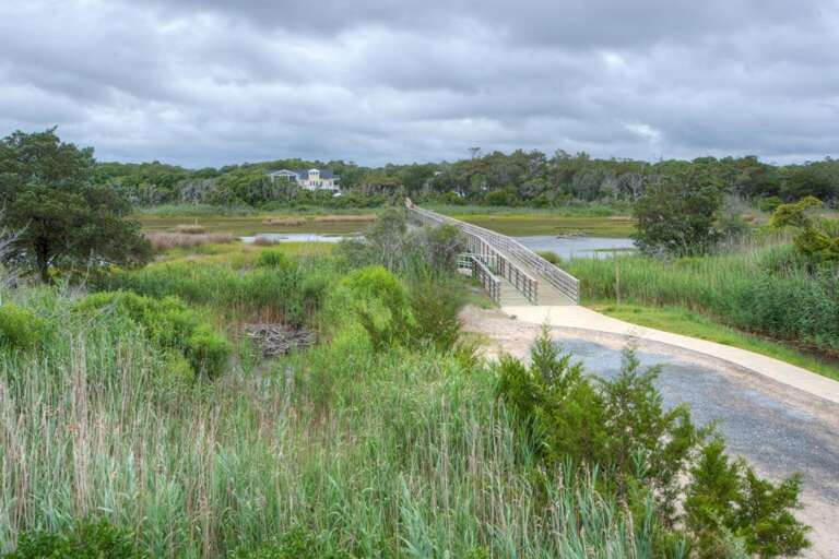 Marsh to the Beach 16 GW 5-30-25