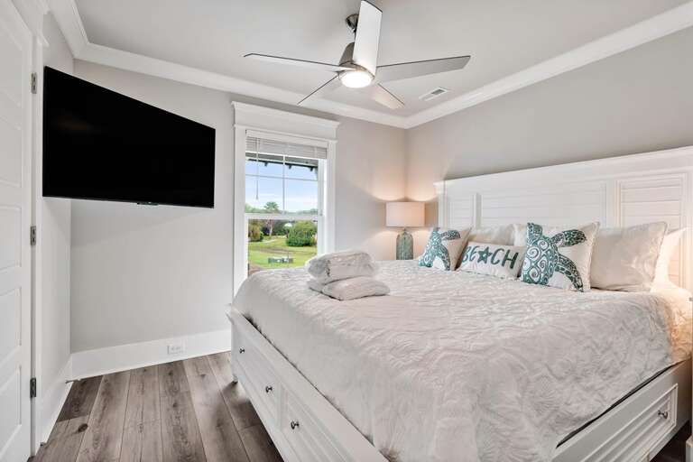 Suite Emotion 15 CG 10.4.24