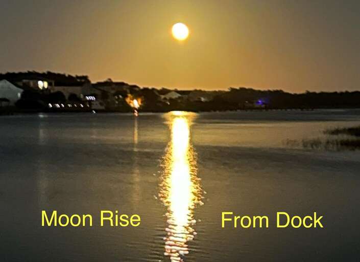 Marker 57-86 O Prelim 3.6.24