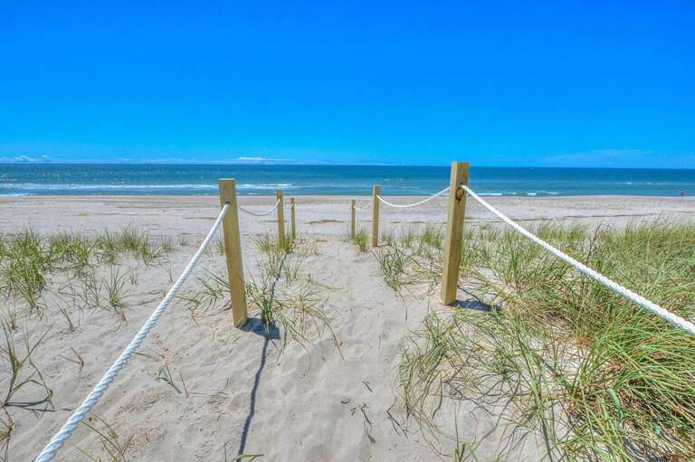 Happy Feet 41 GW 5.25.24