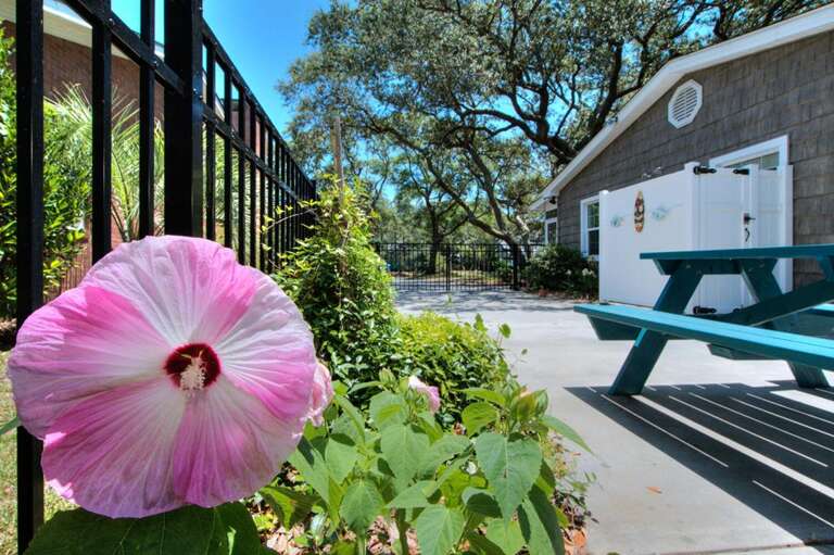 Heavily Salted 45 GW 6.19.24