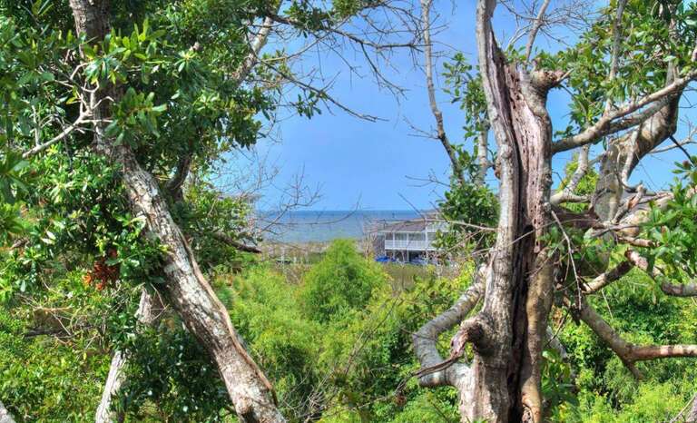 Slow N Steady 21 GW 7.26.24