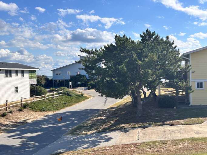 Driveway JR 10.16.24