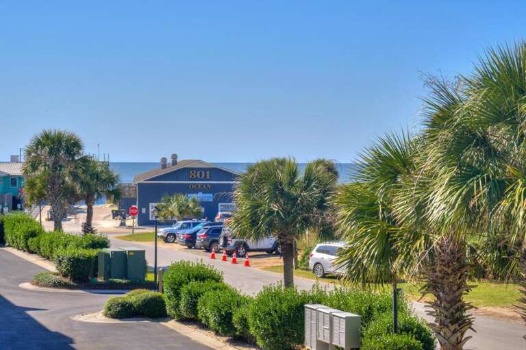 Fishy Fishy Up 2 GW 10.23.24