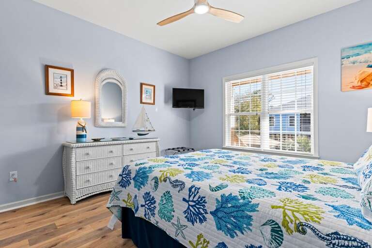 Nemos Place 18 CAM 12-16-25