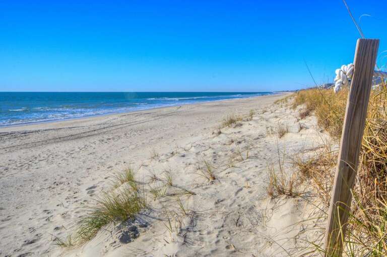 The Pink Pelican 39 GW 12-20-25