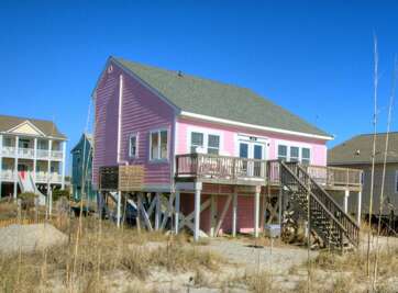 The Pink Pelican 1 GW 12-20-25