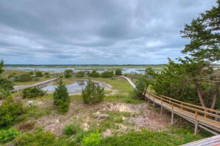 Water Views