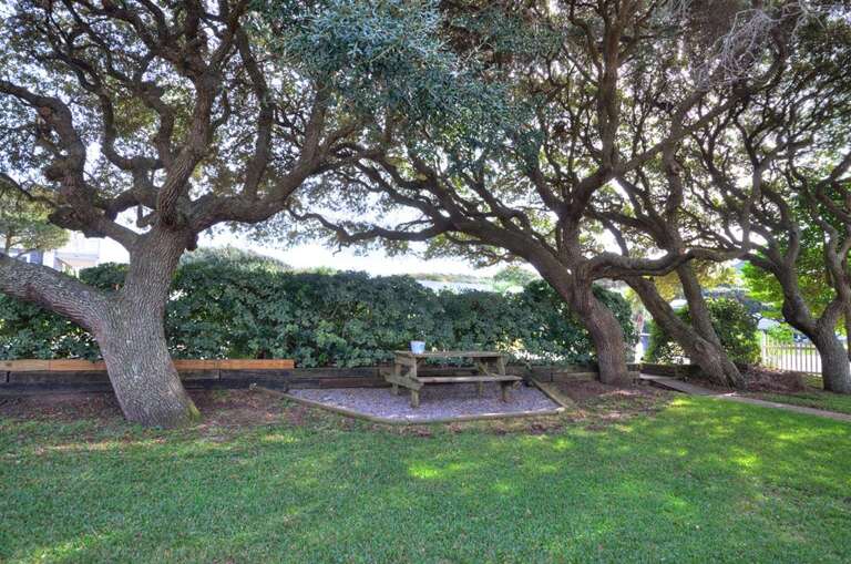 205 Norton St Pier View Oak-large-016-016-Front YardPicnic Area-1500x993-72dpi
