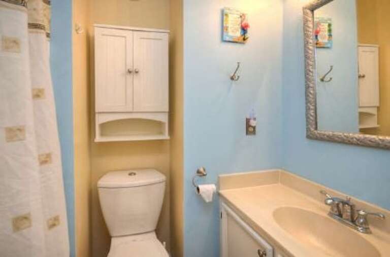 Hallway Bathroom