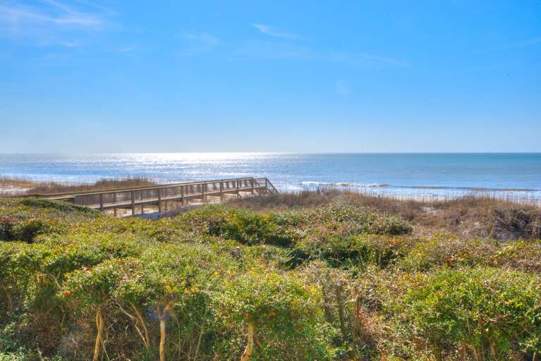 Ocean Views
GW 2.11.25