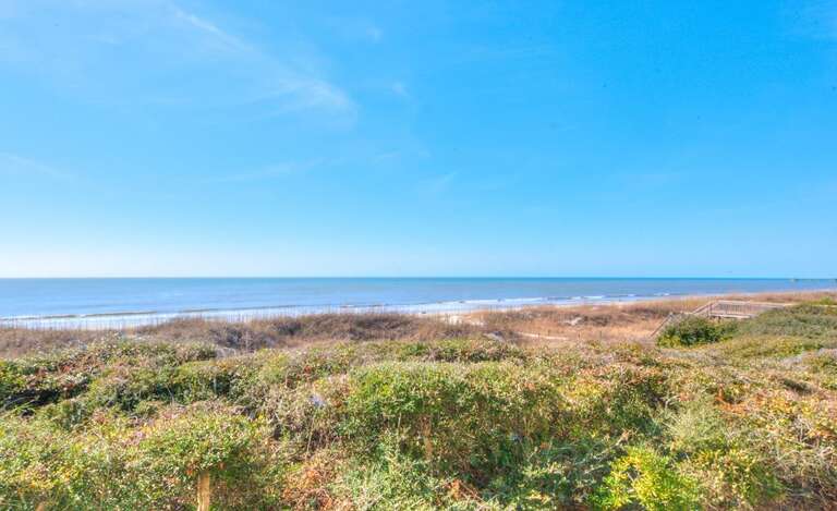 Ocean Views
GW 2.11.25